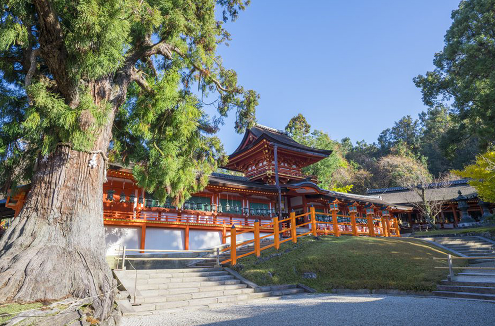 【春日大社公式提携】神社挙式後の会食のみも可◆6.4万円コース無料試食&なんでも和婚相談会