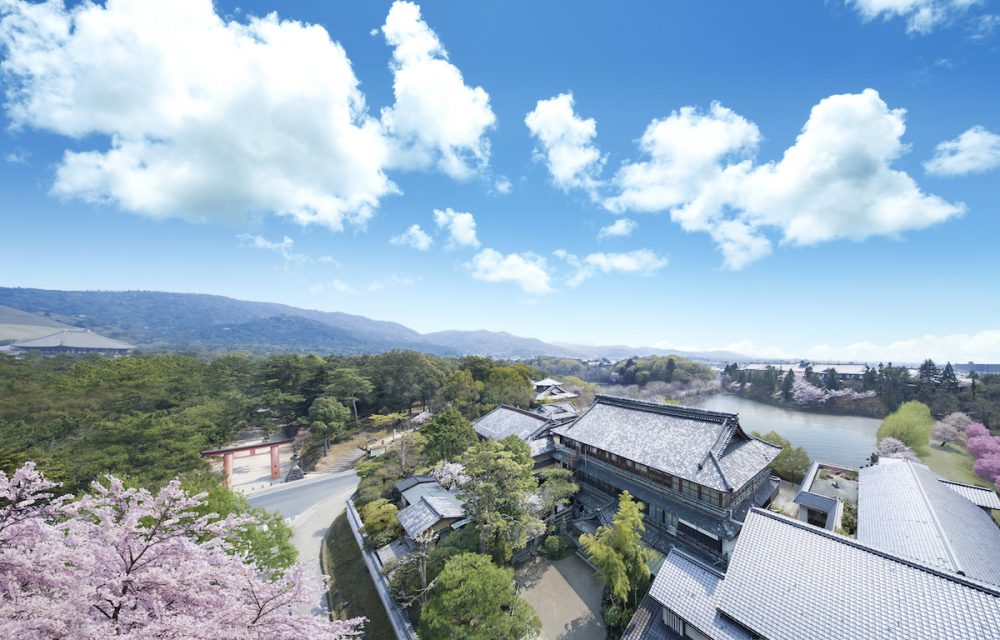 【関東にお住まいの方に】 東京サロンでの個別相談会※HP限定フェア