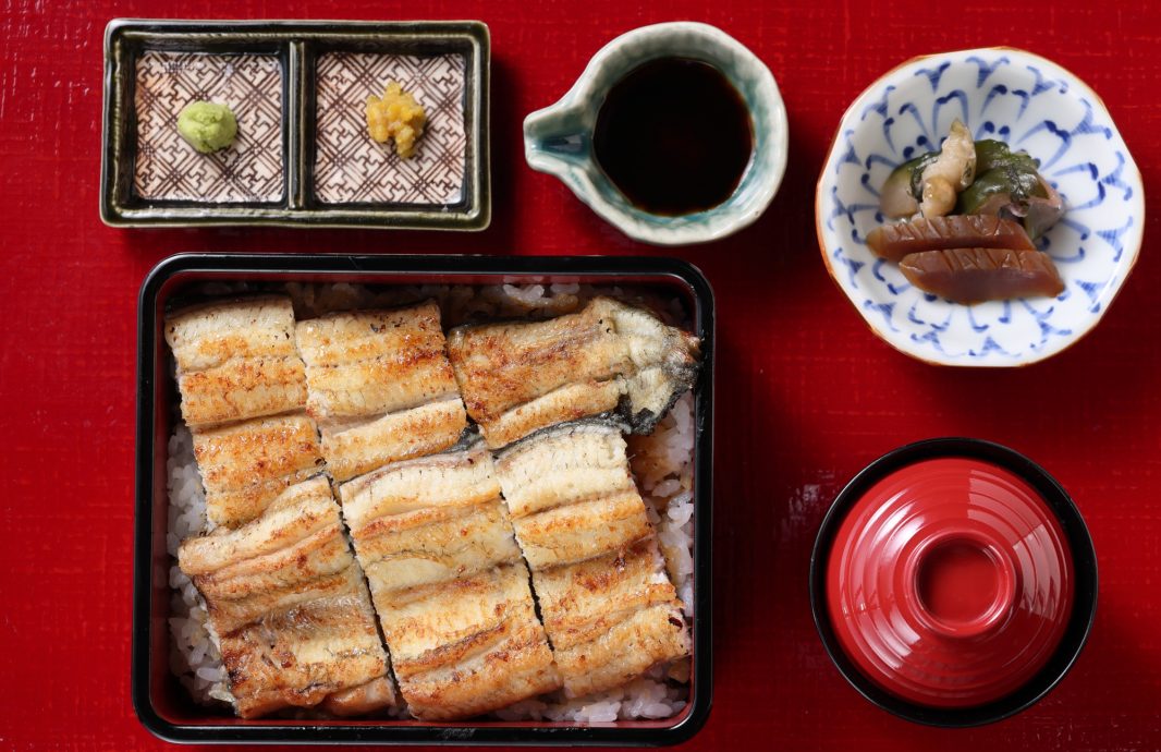 白焼き重 6切れ