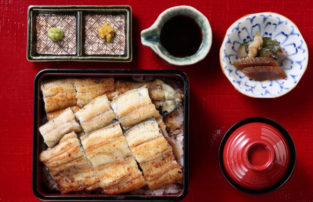 白焼き重 9切れ